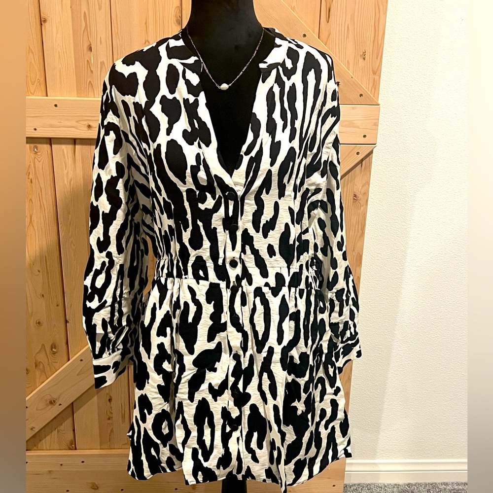 NWT Zara Dress